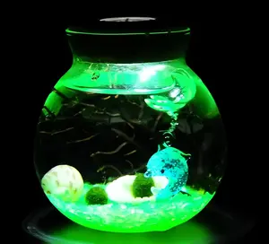 Alkaid - Glowing Big Dipper Bottle Ecosystem, Cute Marimo Moss Ball Micro-Landscape, Self-Sustaining Crystal Garden & Starry Night Aquarium Plant Decor (Includes 2 Live Marimo Pets)