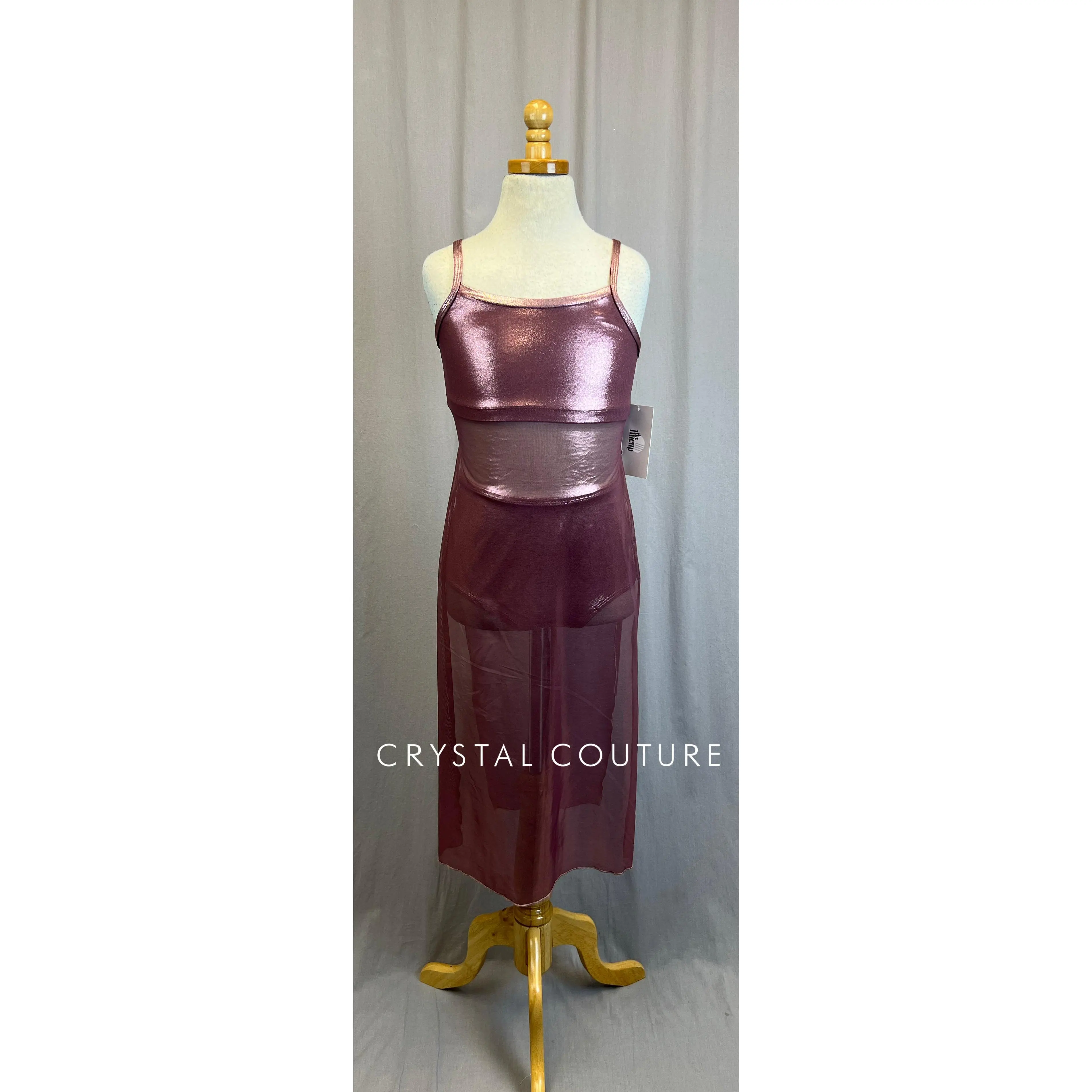 *Brand New* Rose Metallic Mesh Dress with Briefs Set