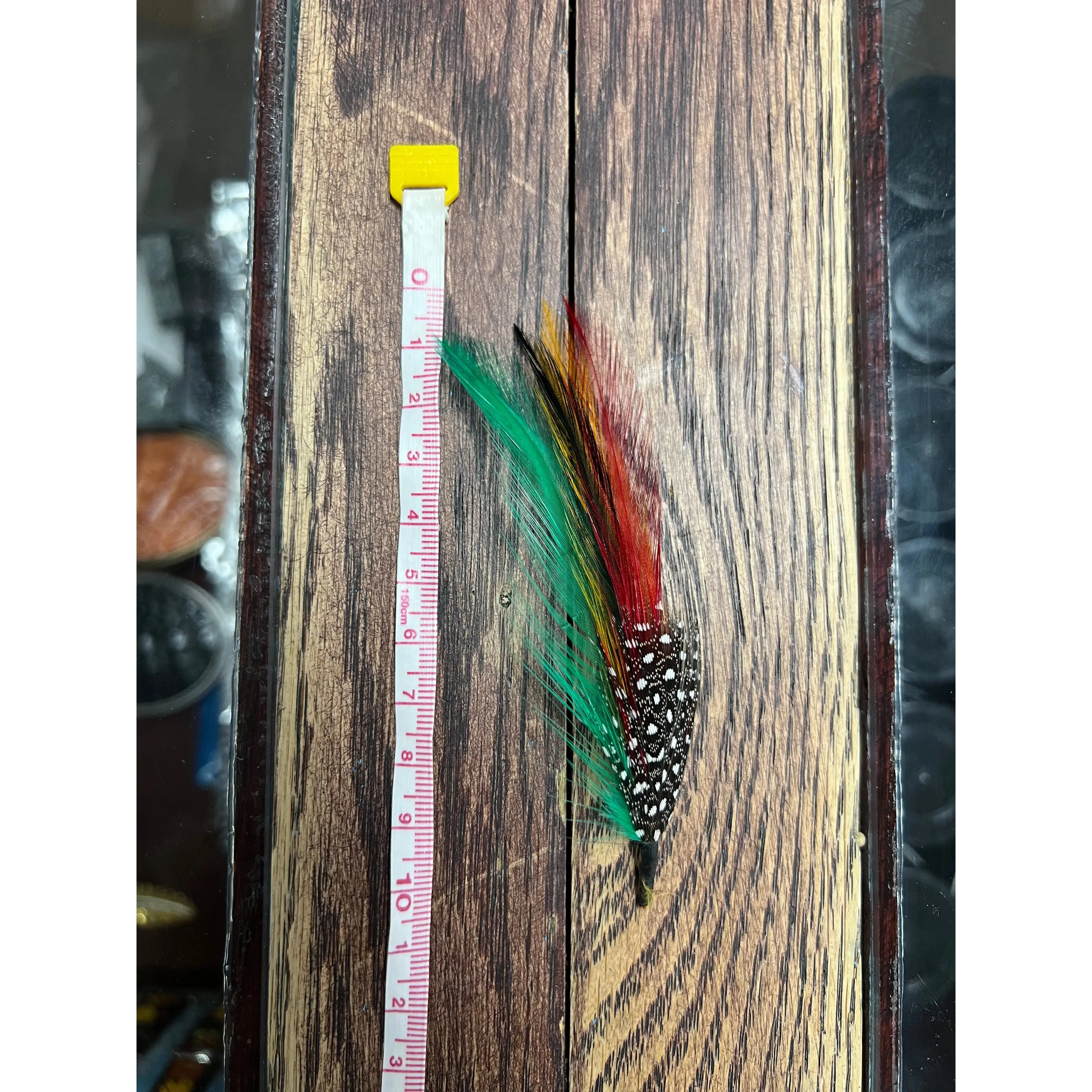 Multi-Color Feather