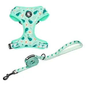 Custom Dog Harness with Pattern Print Breathable Mesh Adjustable Soft Vest No Pull Pet Harness Leash Set for Small Medium Dogs