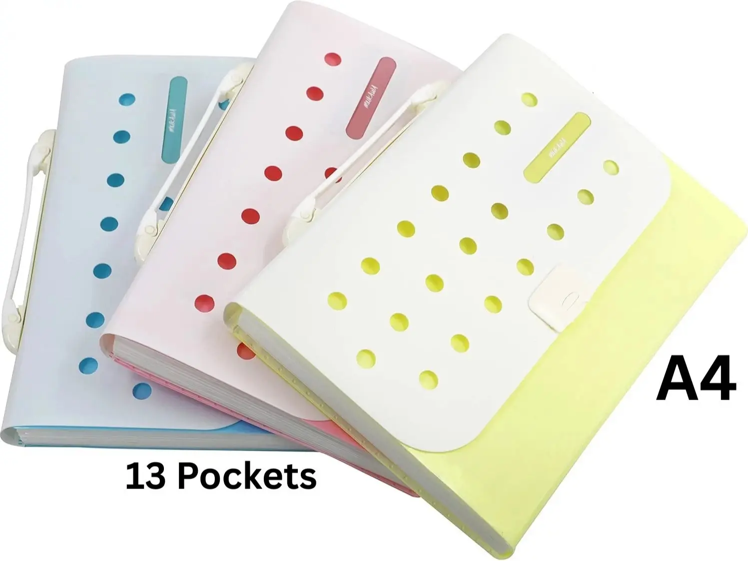 13-Pocket Expandable Accordion File Folder, Document Organizer for Office & School Use