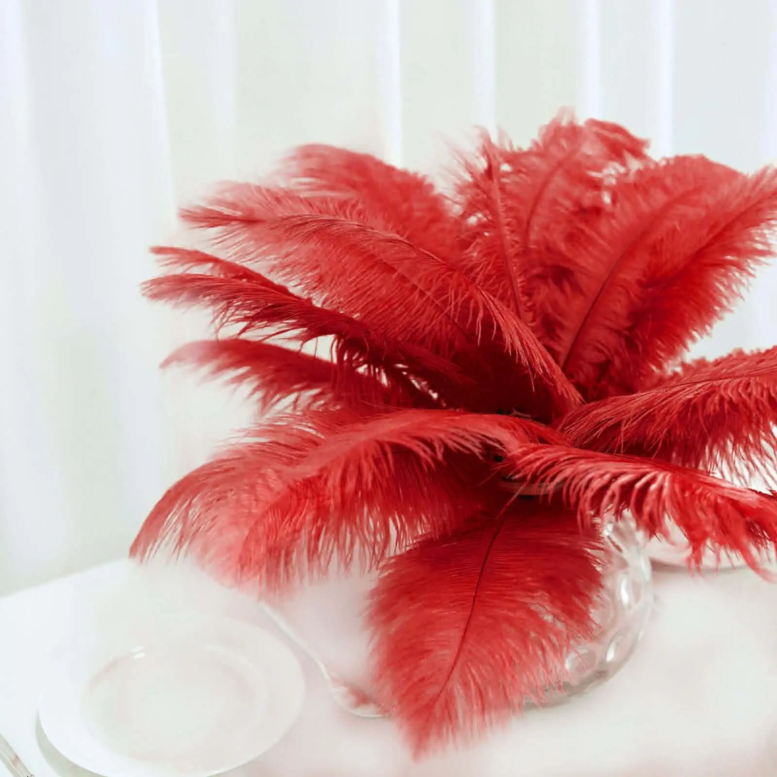 12 Pack Red Natural Plume Real Ostrich Feathers, 13"-15" DIY Centerpiece Fillers for Festive Decor, Eiffel Tower Themed Arrangements