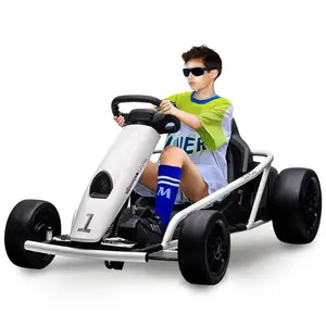 Heavy Duty Electric Go Kart for Kids 8–14, 24v Ride-on Racing Toy with Dual 300w Motors, Impact-Resistant PE Body & Iron Frame, 8.1 MPH Drifting Fun, Max Load 155 Lbs,Music, Horn, Seat Belt,White