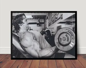 Arnold Schwarzenegger Bodybuilding Poster