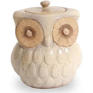 Ceramic Owl Cookie Jar with Lid - Rustic Vintage Kitchen Shelf Decor, Large Gold Canister for Cookies, Flour Storage