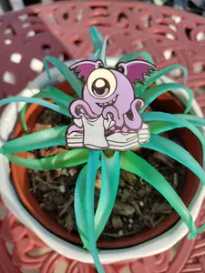 Merch Minion | Alien/ Octopus/ Feral/ DND/ Furry/Cartoon/ Enamel Pin