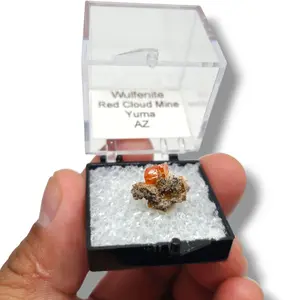 Wulfenite Red Cloud Mine - Diverse Arizona Specimens in Perky Boxes
