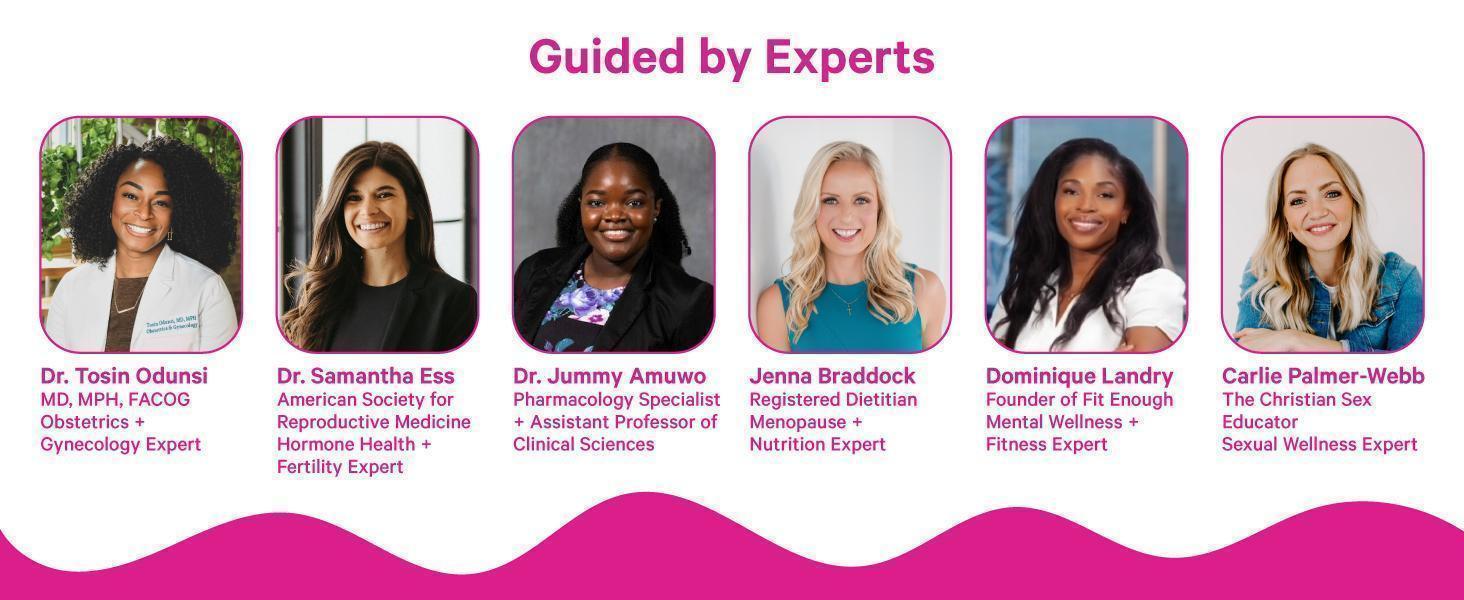 HOT 2026 !! Pink Stork Fertility Tea for Conception and Hormone Balance with Organic Mint, Vitex, and Red Raspberry Leaf, Caffeine Free - Mint, 15 Sachets, Hot or Iced