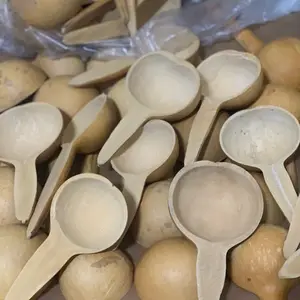 3 African Calabash Spoons/ Galaman