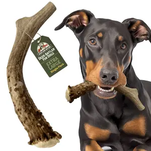Heartland Antlers Extra Large Deer Antler Dog Chew | 8" Long | 7–9 oz | For Dogs 65–85 lbs | Natural, Durable & USA Sourced