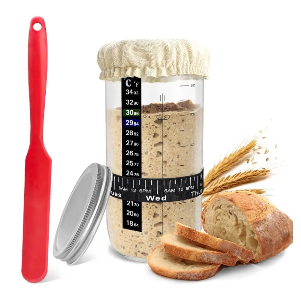 Sourdough Starter Kit, 24 oz Glass Jar with Date-Marked Feeding Band, Thermometer, Silicone Spatula, Metal Lid & Cloth Cover for Perfect Homemade Sour Dough Bread Baking, Easy to Clean