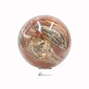 Sphere Petrified Wood Sphere – Sculptural Earth Element for Interior Display