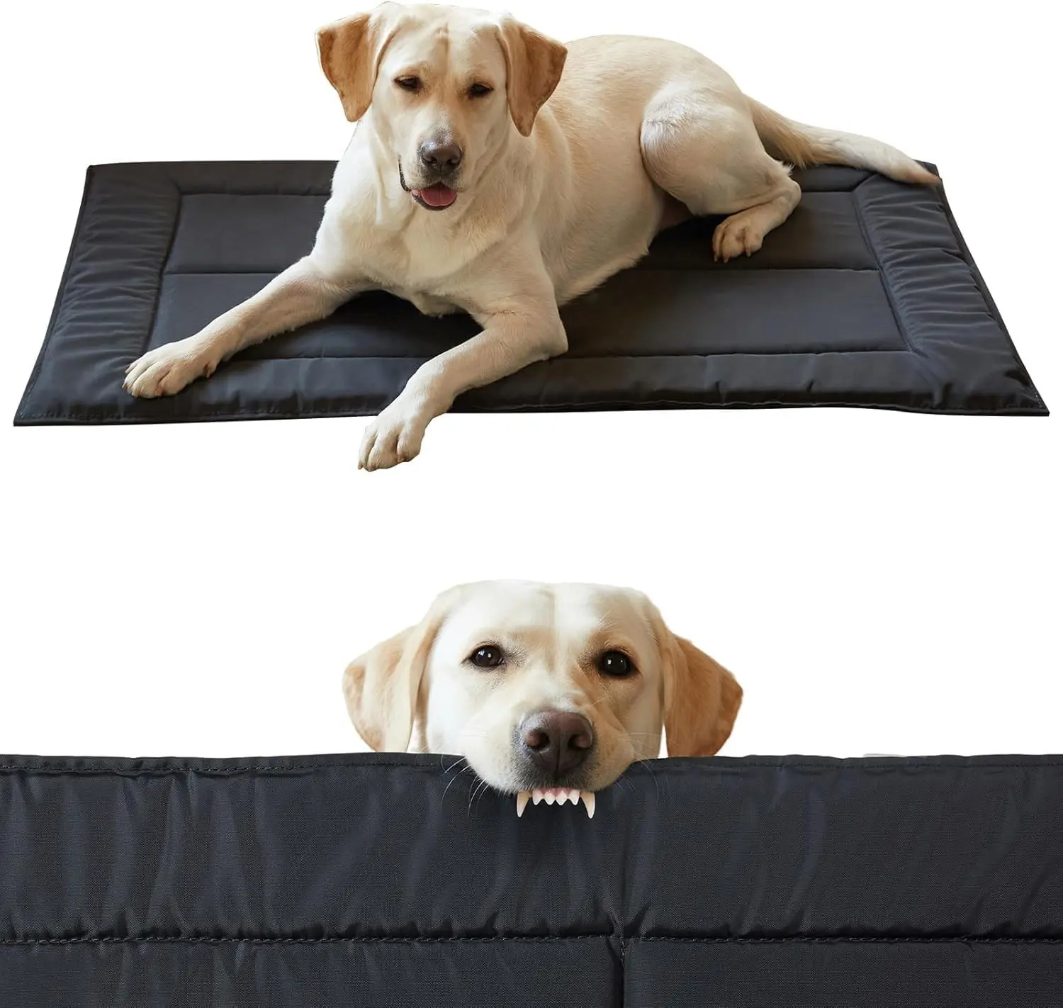 Chew Proof Indestructible Dog Bed, Durable Dog Crate Pad for Aggressive Chewers, Chew Resistant Fabric with Soft 1” 30D Foam Support, Tough Kennel Pad (Black, Large (28"x41"))