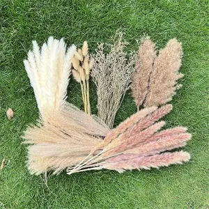 100Pcs Pampas Grass Boho Home Decor 17 inch Natural Dried Flowers-Pampas Grass Contains Bunny Tails White Pampas Brown Pampas Boho Decor