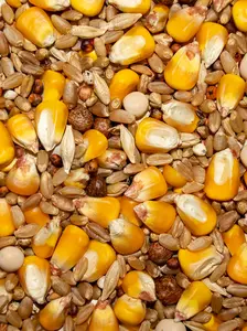 Economy Whole Corn 11% - 50lb