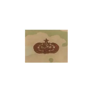 Air Force Cyberspace Support (SR) Ocp Spice Brown sew-on Badge
