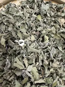 Melis - Lemon Balm Beverage Tea