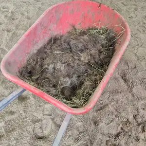 SleekEZ Horse Brush for Shedding & Grooming, Deshedding Tool for Short & Long Haired Horses