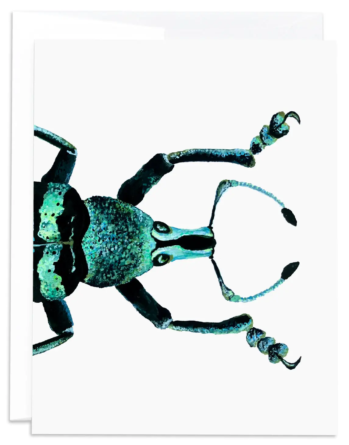 Weevil Note Card