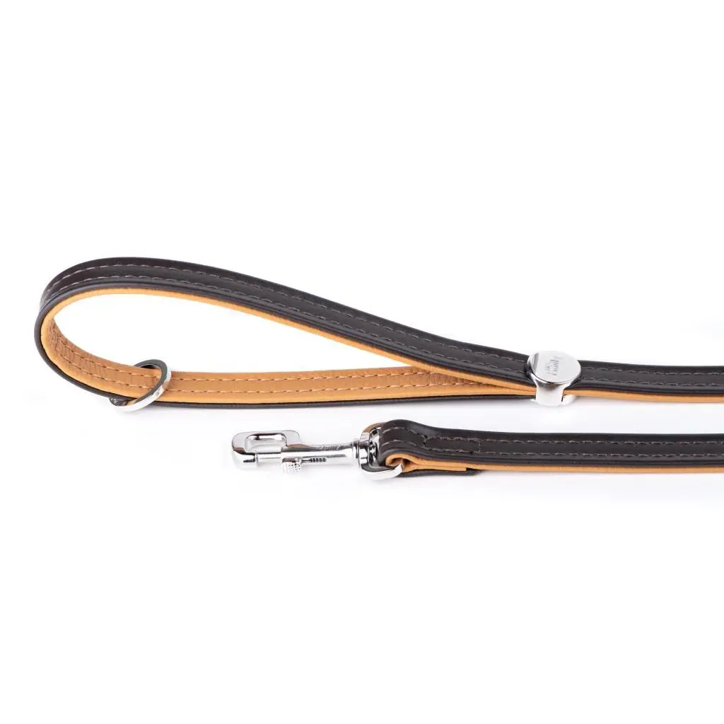 Hermitage 6ft Genuine Leather Two-Tone Dog Leash for Pet Training