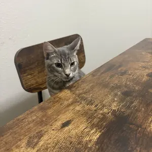 Dining Table Set for 4, Retro Kitchen Table and Chairs Set for 4, Metal Frame, Space-Saving Table and Chairs Set of 4 for Small Place, Living Room, Breakfast Nook