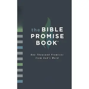 The Bible Promise Book: New Life Version (New Life Bible) Childhood Prayer Journal for Daughters Inspirational 90 Day Devotional biblia s personal izad as powerful spiritual warfare prayer Action Story