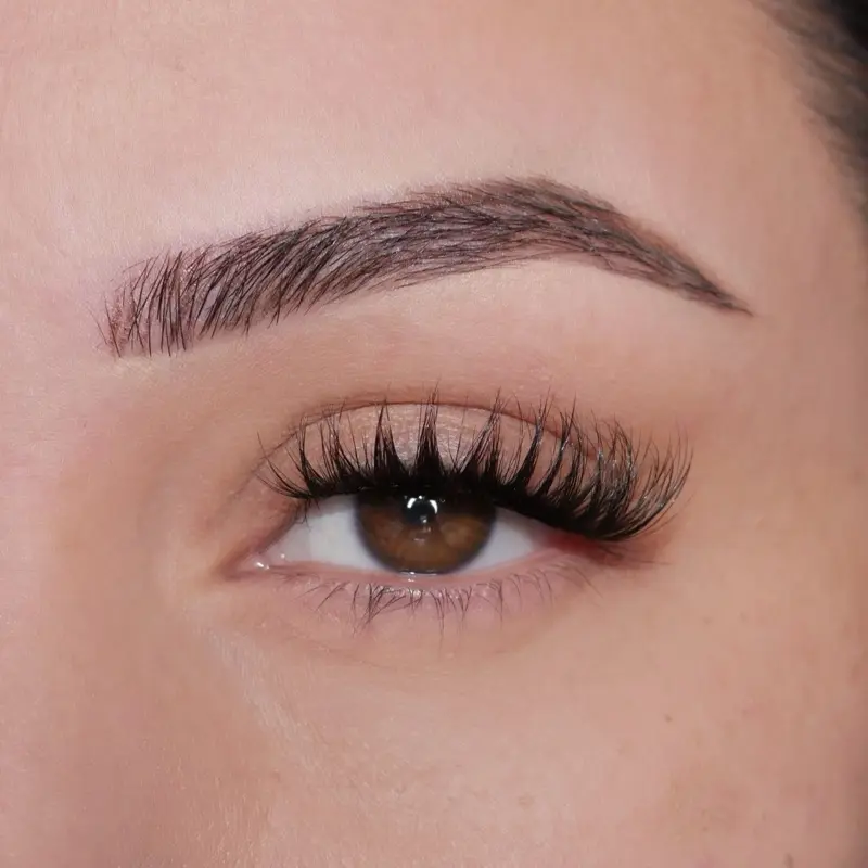 Lioness self adhesive lash