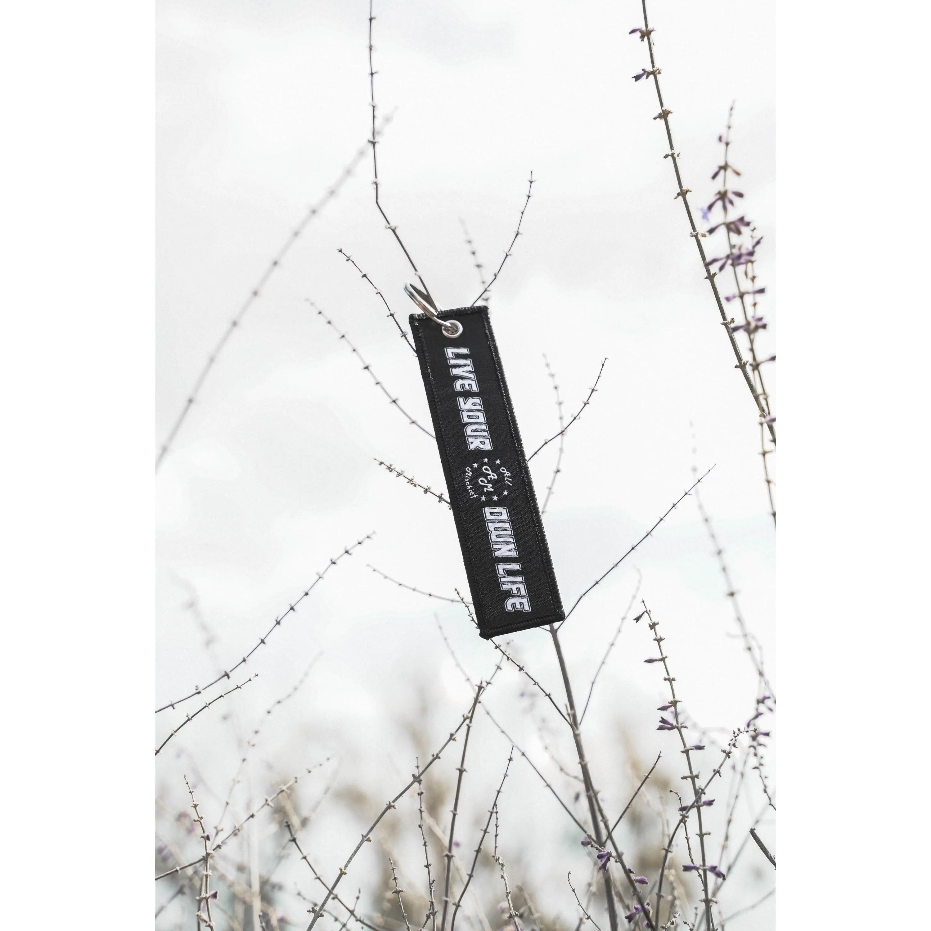 Jet Tag