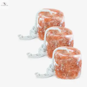 RESISTANCE Pink Himalayan Salt Lick Block with Rope for Horses, Cattle, Deer, Goats, and Livestock – 3 Lbs, 4 Lbs & 6 Lbs (Each Block Weight)
