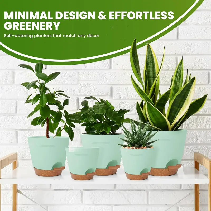 large biodegradable pots for plants Garden Tools | Large Plantable Western Pulp Pots