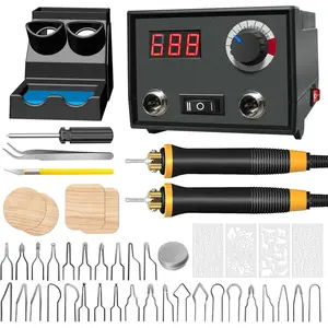Wood Burning Tool, Wood Burner Kit Pen 25~750℃, Wood Burning Kit with Digital Thermometer Adjustable Temperature, 2 Pyrographic Wood Burning Pens, 30 Wood Burning Pen Tips