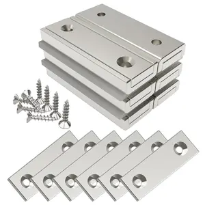 6 Pieces Neodymium Rectangular Magnets 45 lb Force 40 x 13.5 x 5 mm with 6 Counterparts, and Industrial Rare Earth with Capsule and Mounting Screws