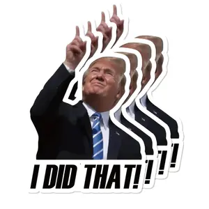 100pcs I Did That Trump Sticker for Laptop, Phone, Water Bottles, Computer... Vine Sticker Decal DIY Décor for Bumper Wall，1.5" x 1.5", Anti-Trump, Meme Sticker, Fdt