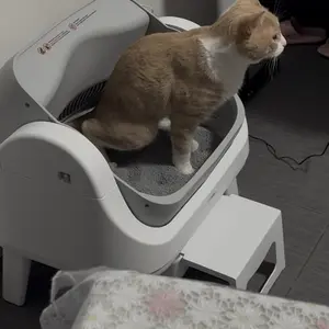 PetPivot AutoScooper 12 Open-Top Self-Cleaning Cat Litter Box – Sealed Waste Drawer, Includes Trash Bags & Entry Step