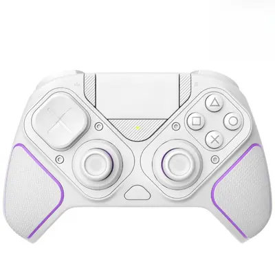 Paddle Controller for R6 TikTok Shop