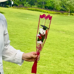 Single Doctor Bear Flower Bouquet, Graduation Teacher's Day DIY Cartoon Gift, Cute Teddy Bear Floral Arrangement for Students