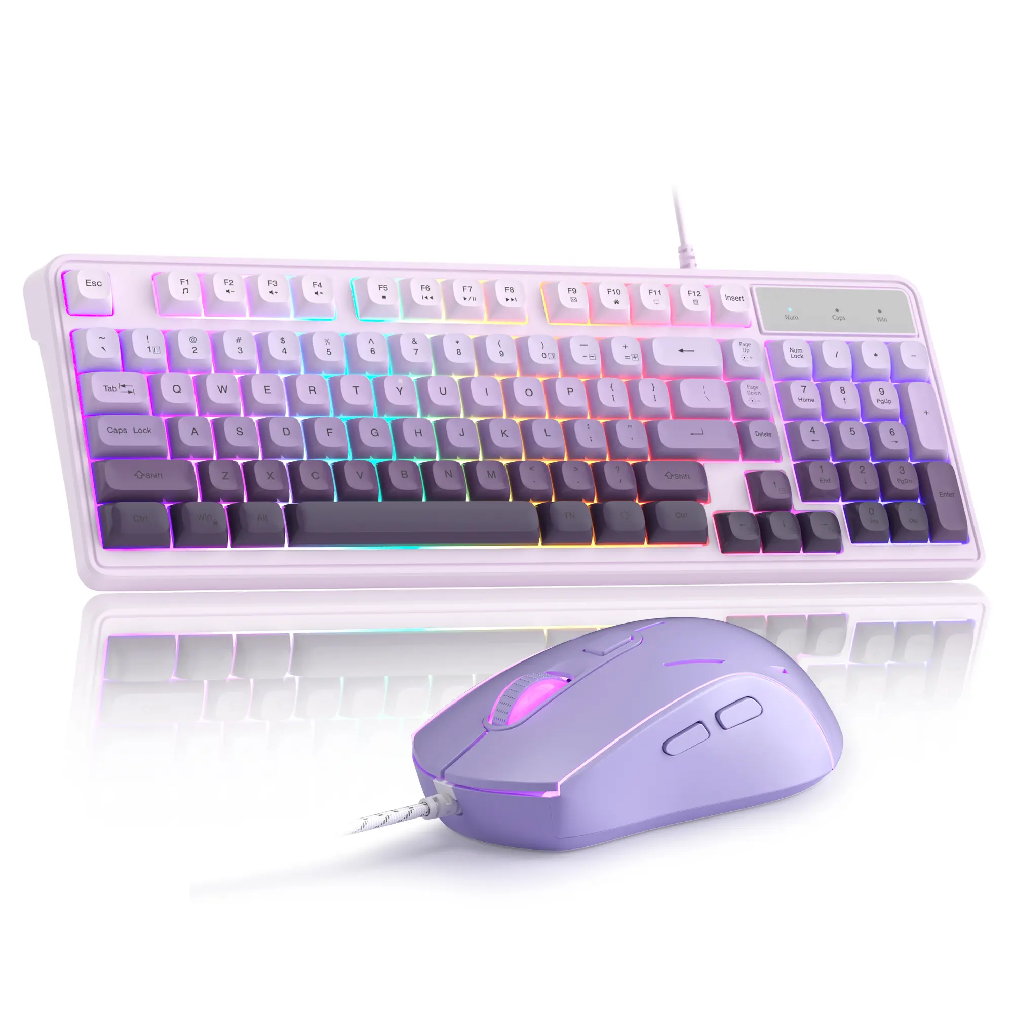 Gradient white-purple