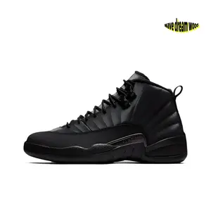 All-Black High-Top Winterized Basketball Shoes with Waterproof Upper, Plush Lining, and Carbon Fiber Plate Details