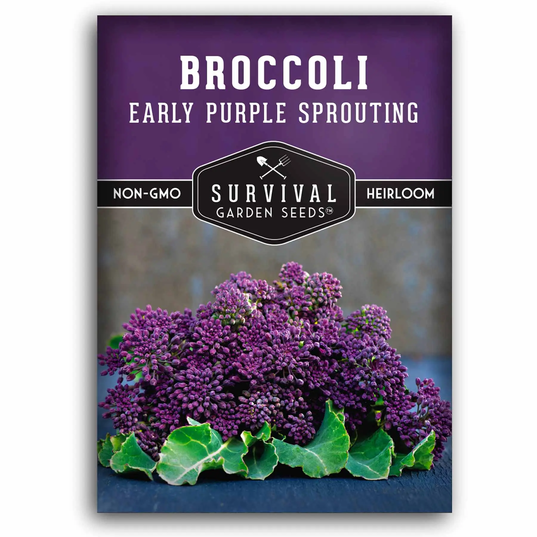 Early Purple Sprouting Broccoli Seed