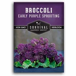 Early Purple Sprouting Broccoli Seed