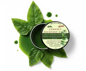 SSF Organics- Comfrey Recovery Salve for Skin, Joints, and Muscles for Comfort and Relief. Natural Plant Infused Oil Based Healing. 2 oz.