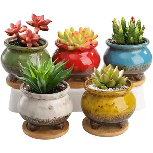 5 Pack Succulent Pots Planter, 3.8 Inch Tripod Glazed Cactus Planter Round Bonsai Container Pot with Drainage Hole & Bamboo for Desktop, Windowsill