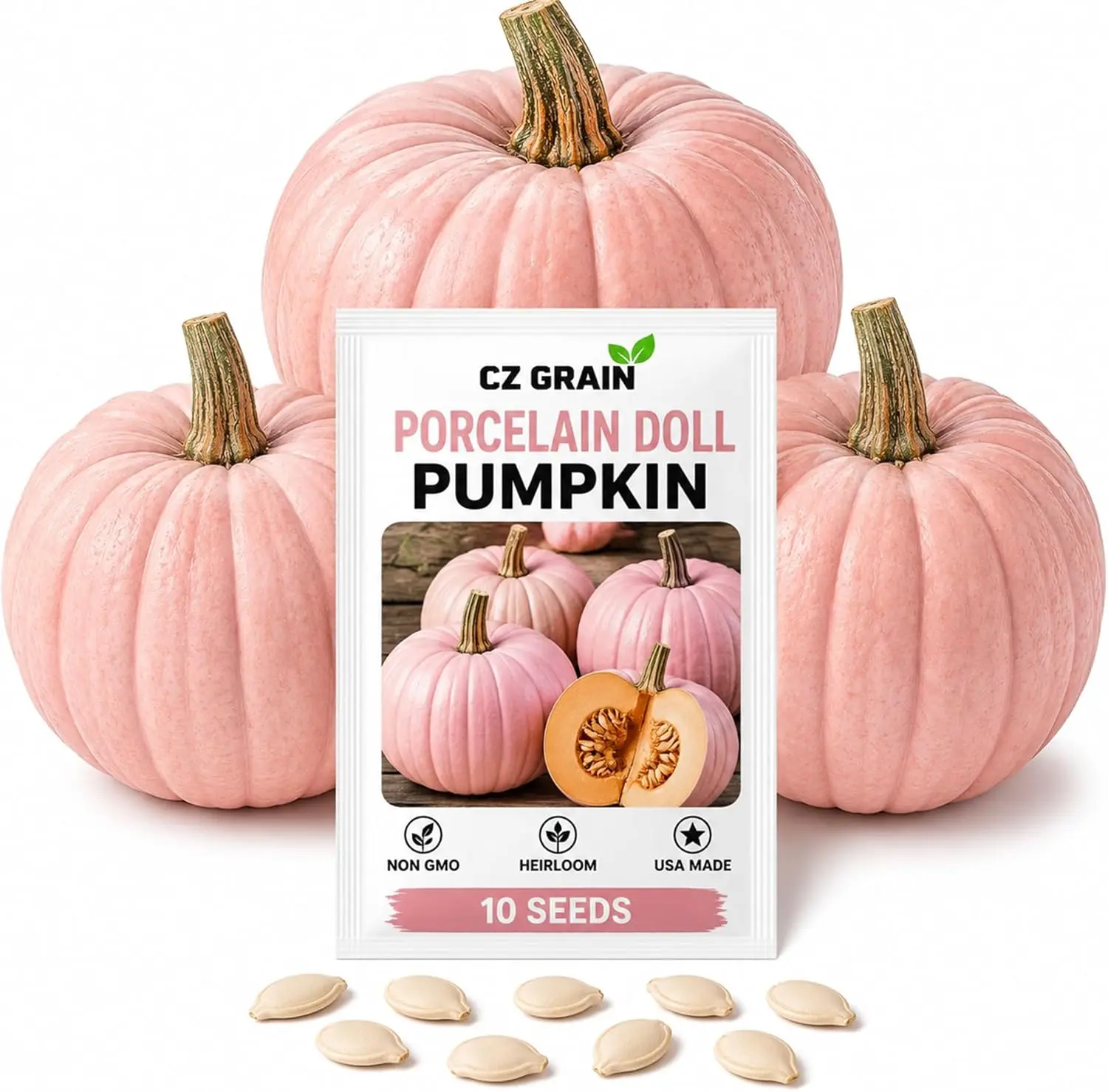 10 Heirloom Pumpkin Seeds for Planting, Unique Decorative & Giant Pumpkin Varieties, Non-GMO Fall Garden Seeds, Rare Specialty Pumpkins for Harvest Decor & Home Gardens (Porcelain Doll - Pink)