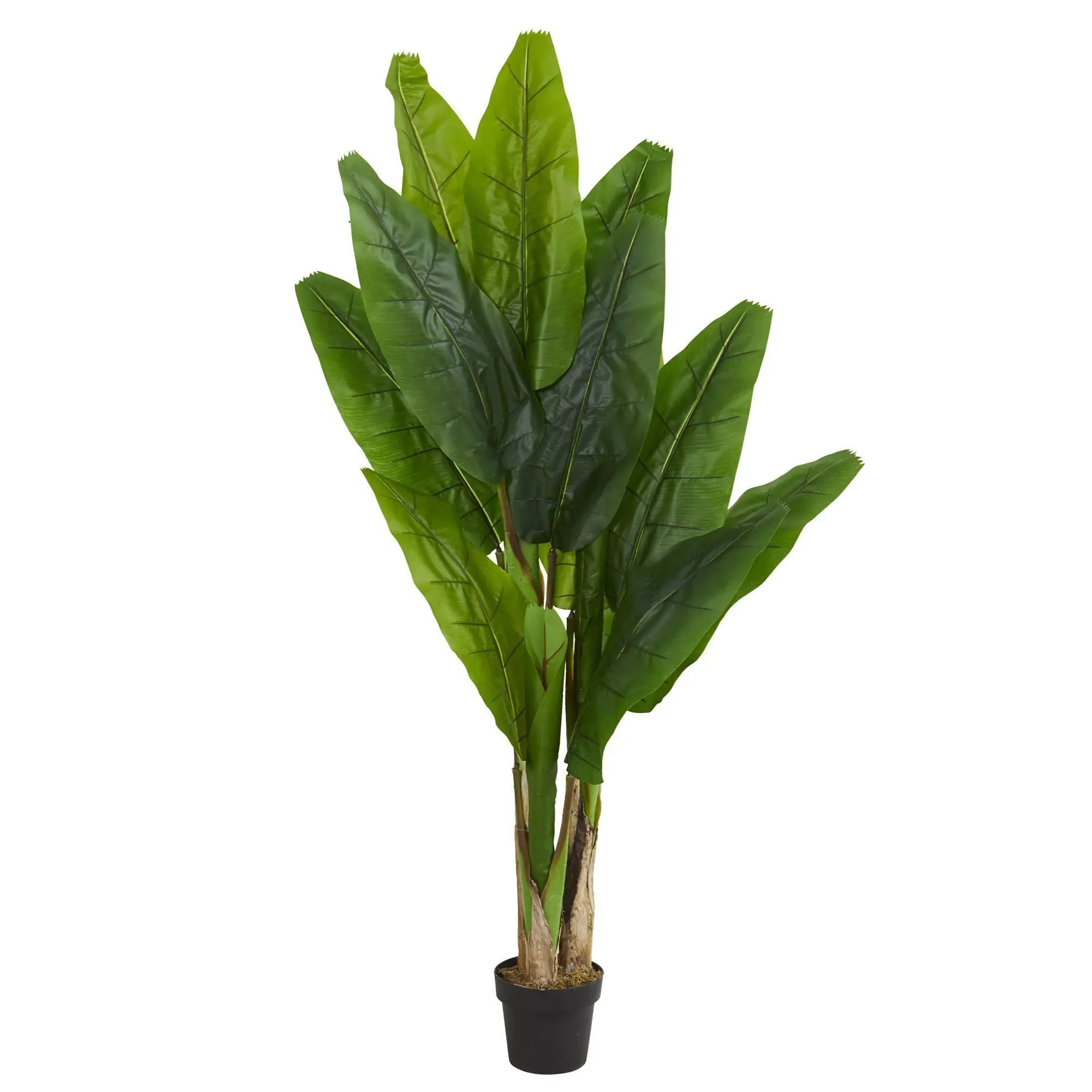 6ft Decorative Artificial Banana Tree with 3 Thick Tan Trunks, Tropical Home Decor Plants for Kitchen, Botanical Aesthetic Room Accent