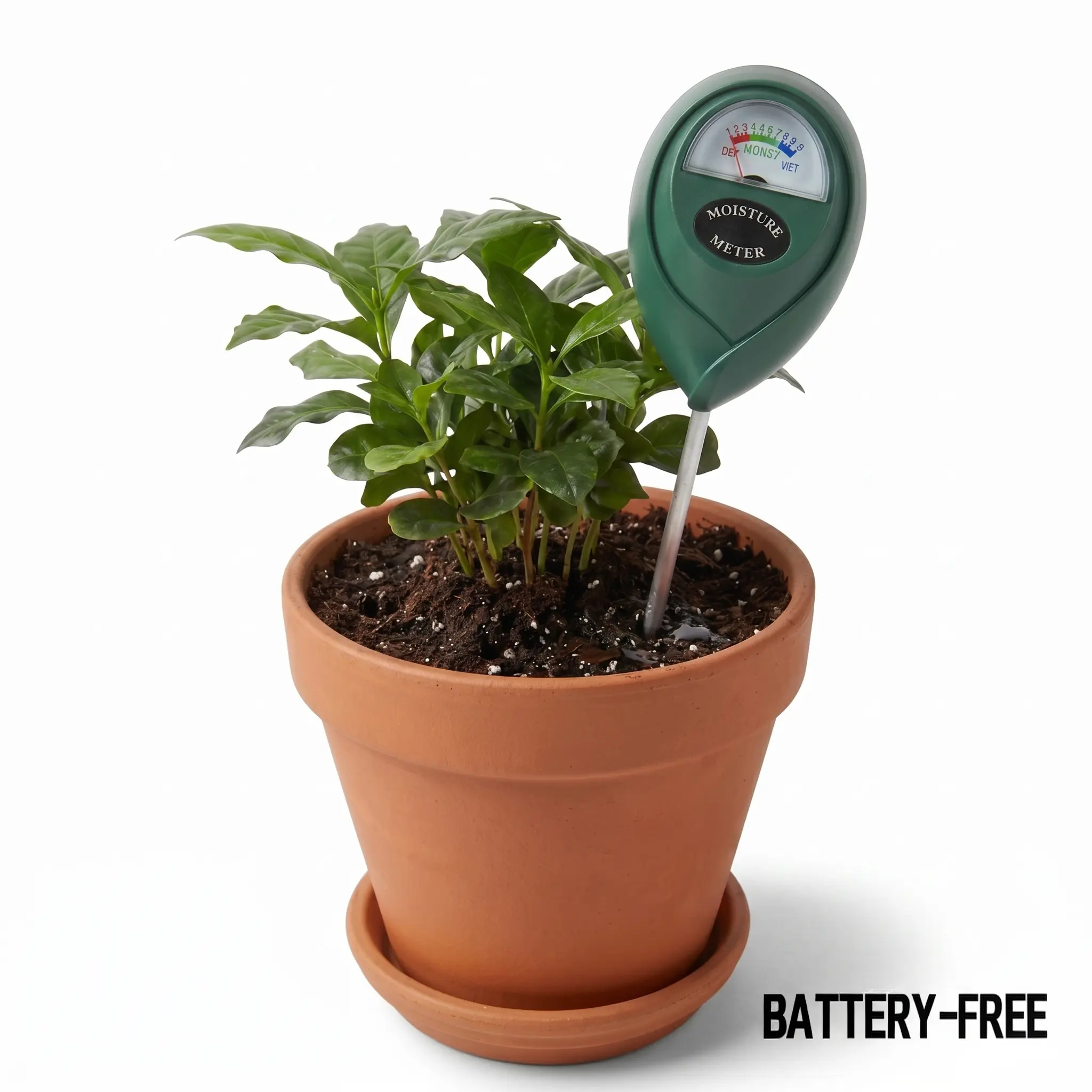 No-Battery Soil Moisture Tool - Soil Hygrometer Sensor, Indoor House Plant & Outdoor Garden Care Monitor