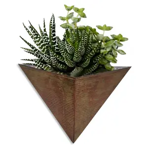 Modern Home Living Wall Galvanized Steel/Zinc Triangular Succulent/Herb Planter