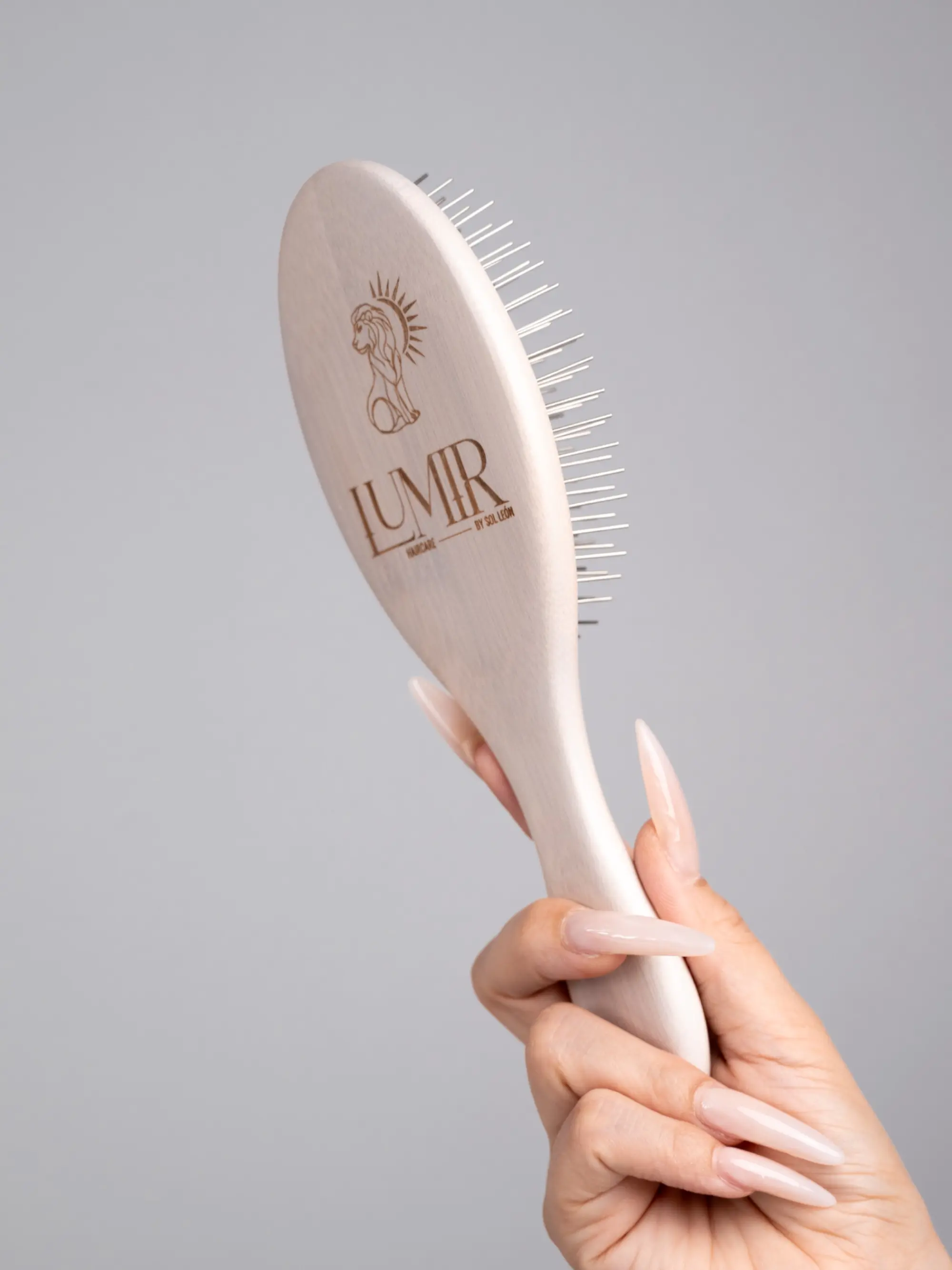 Steel Bristle Brush Air Cushion