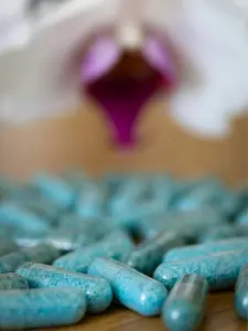Soul Food Growth Formula 6 Month Supply 24 Capsules Easy Orchid Nutrition 20-14-13 Formula for Robust Growth & Healthy Roots