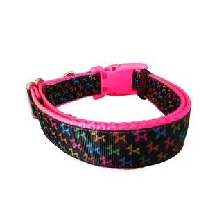 Balloon Dog Hot Pink Nylon Dog Collar MD, LG, XL, Leash