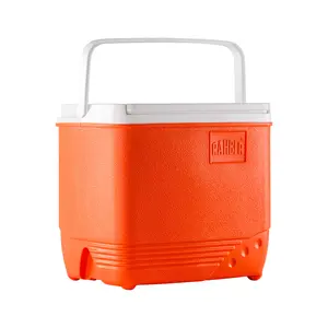 Ice Cooler 19 Qt Insulated Ice Chest Portable Hard Cooler Heavy Duty Leak Proof Ice Box for Camping, Tailgating, Beach, Picnic, Groceries, Lunch, & More Orange